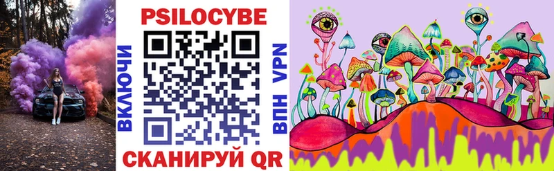 Псилоцибиновые грибы Psilocybe Купить закладки Переславль-Залесский