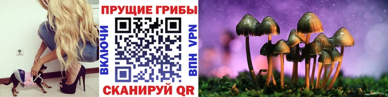 Галлюциногенные грибы мицелий Переславль-Залесский